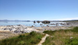 Mono Lake in June