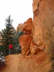 Walking on the Navajo Trail, the orange rocks were glowing.
