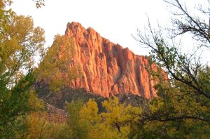 View from the Visitors Center. Everything here was awe-inspiring and larger than life.