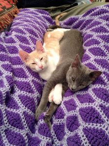 Mario (orange) & Luigi (white) 