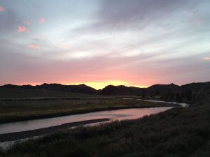 Where I was when the cough started