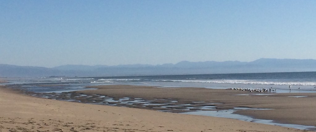 We went to Sunset Beach outside Watsonville, CA. The tide was very low and still going out. The seagulls looked uncharacteristically majestic. It was hard to stay mopey.