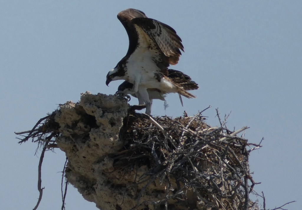 Location, Location, Location